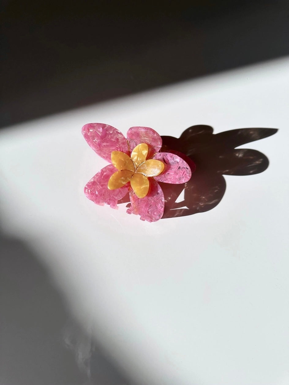 Hair Clips