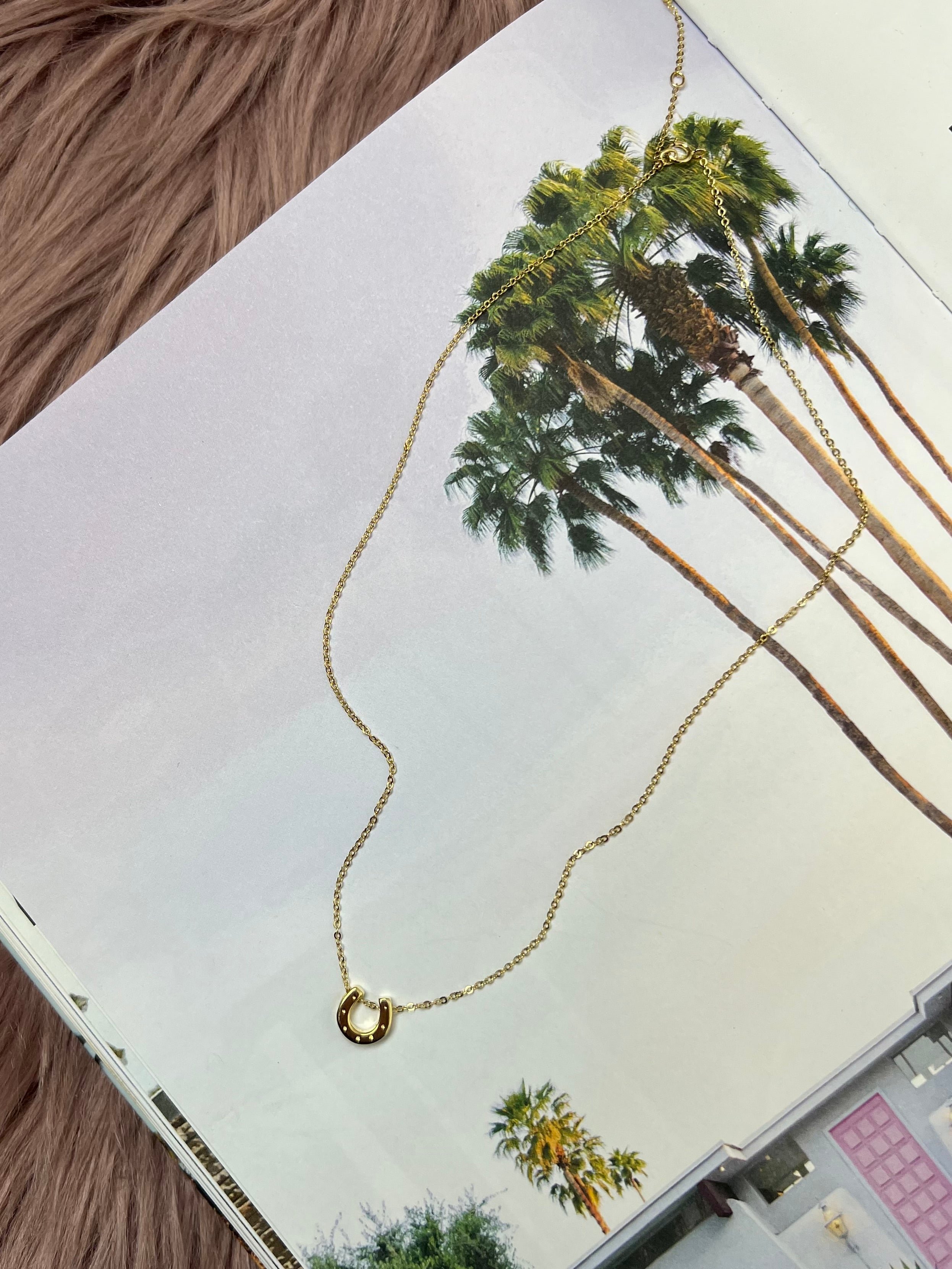 Layered in Luck Horse Shoe Necklace