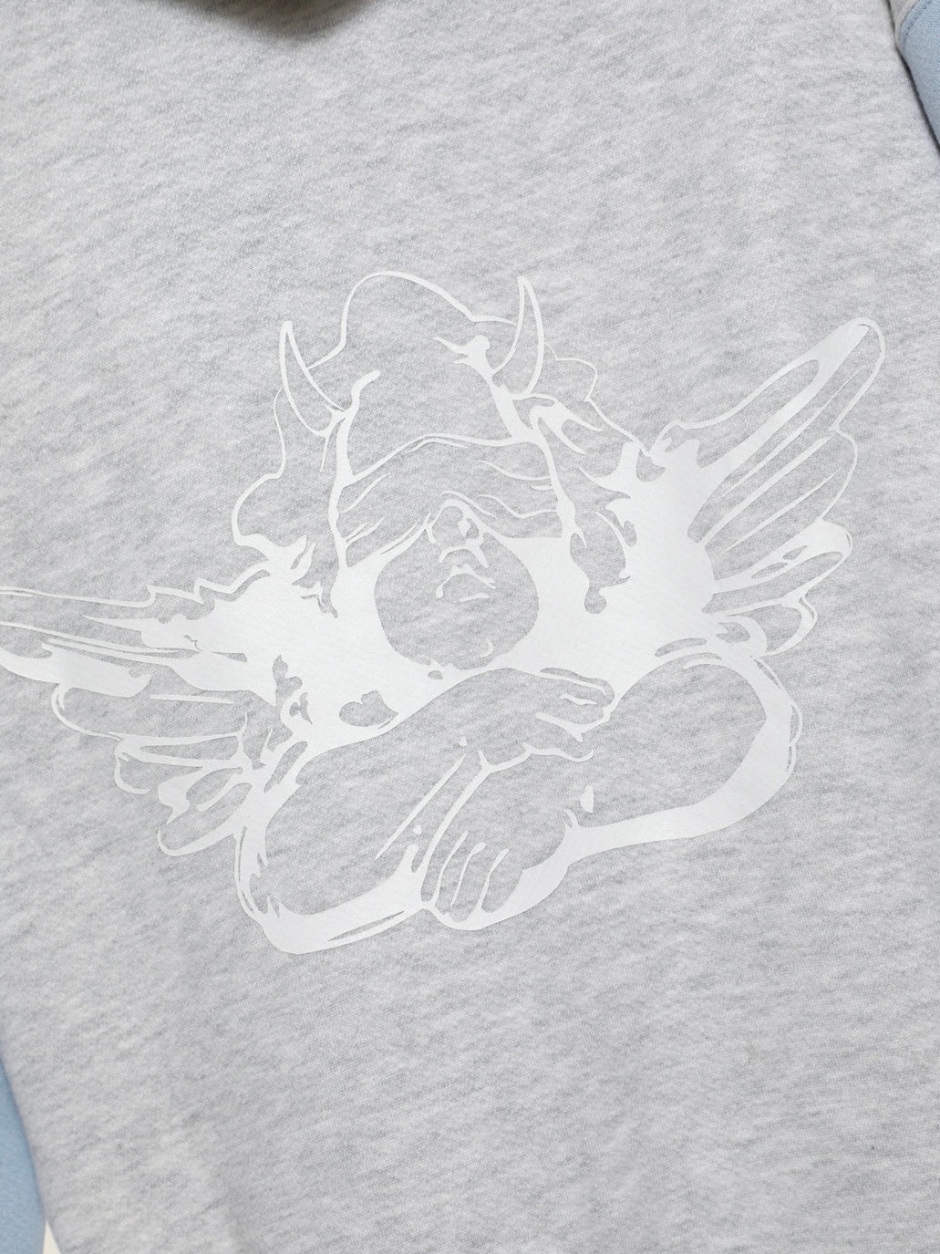 Boys Lie Violets are Blue Racer Hoodie