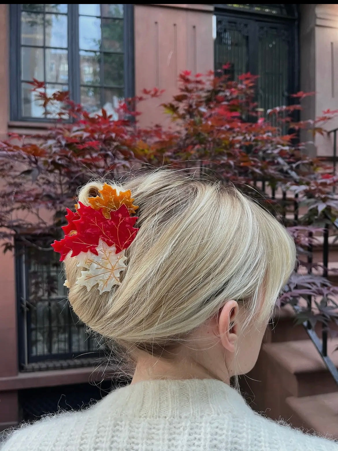 Hair Clips