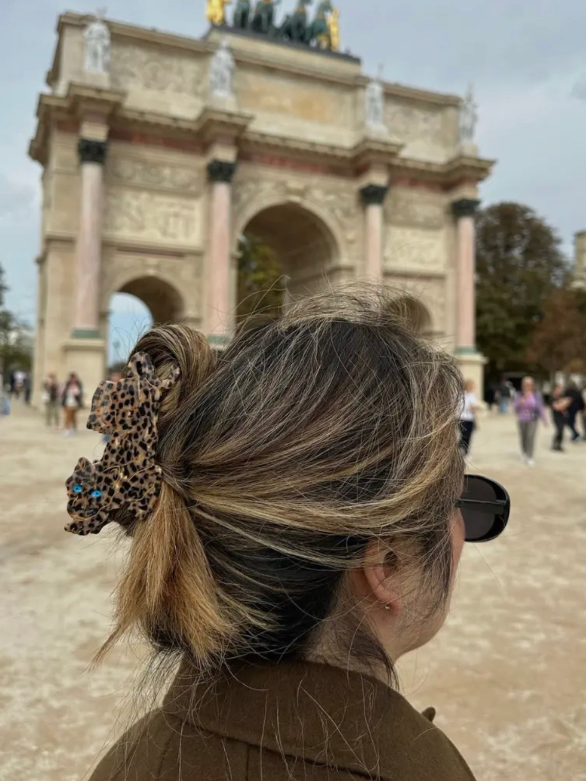 Hair Clips