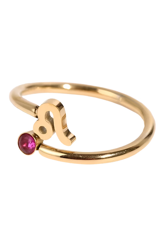Zodiac Sign Stainless Steel Ring